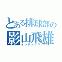 とある排球部の影山飛雄（インデックス）