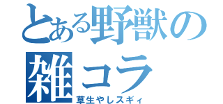 とある野獣の雑コラ（草生やしスギィ）