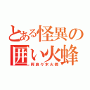 とある怪異の囲い火蜂（阿良々木火憐）