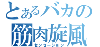 とあるバカの筋肉旋風（センセーション）