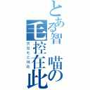 とある智凱喵の毛控在此（贯徹毛之極致）