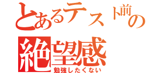 とあるテスト前の絶望感（勉強したくない）