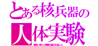 とある核兵器の人体実験（黄色い猿で２種類の威力を試した）