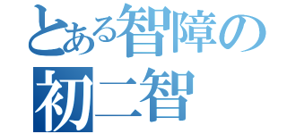 とある智障の初二智（）