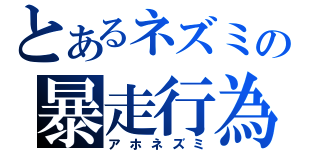 とあるネズミの暴走行為（アホネズミ）