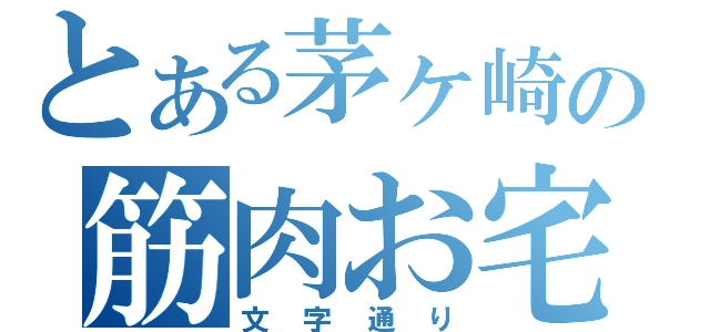 とある茅ヶ崎の筋肉お宅（文字通り）