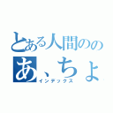 とある人間ののあ、ちょっとまってｗｗｗｗｗｗ（（└（：Ｄ」┌）┘））アヒャヒャ（インデックス）