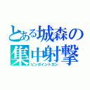 とある城森の集中射撃（ピンポイントガン）