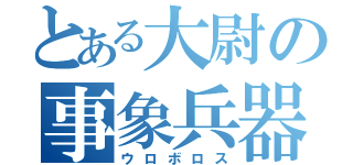 とある大尉の事象兵器（ウロボロス）