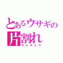 とあるウサギの片割れ（キレネンコ）