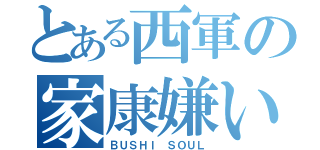 とある西軍の家康嫌い（ＢＵＳＨＩ　ＳＯＵＬ）