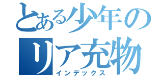 とある少年のリア充物語（インデックス）