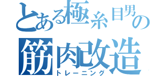 とある極糸目男の筋肉改造（トレーニング）