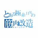 とある極糸目男の筋肉改造（トレーニング）