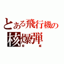 とある飛行機の核爆弾（脅威）