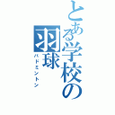 とある学校の羽球（バドミントン）