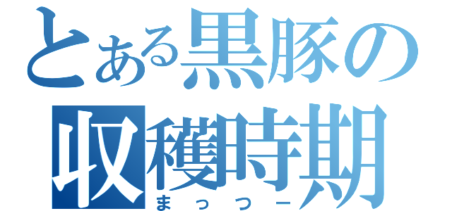 とある黒豚の収穫時期（まっつー）