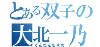 とある双子の大北一乃（てんねんむすめ）