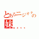 とあるニジオタの妹（如月モモ）