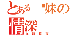 とある姊妹の情深（友誼長存）