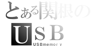 とある関根のＵＳＢ（ＵＳＢｍｅｍｏｒｙ）