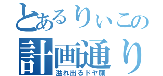 とあるりぃこの計画通り（溢れ出るドヤ顔）