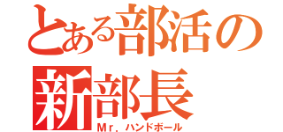 とある部活の新部長（Ｍｒ．ハンドボール）