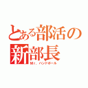 とある部活の新部長（Ｍｒ．ハンドボール）