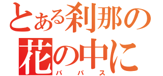 とある刹那の花の中に（パパス）