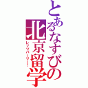 とあるなすびの北京留学（レッツパーリー！）