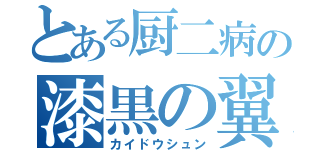 とある厨二病の漆黒の翼（カイドウシュン）