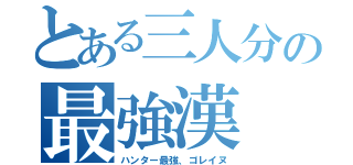 とある三人分の最強漢（ハンター最強、ゴレイヌ）