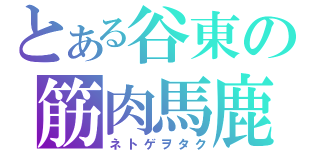 とある谷東の筋肉馬鹿（ネトゲヲタク）