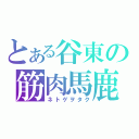 とある谷東の筋肉馬鹿（ネトゲヲタク）