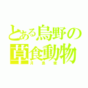 とある烏野の草食動物（月島蛍）