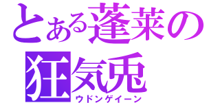 とある蓬莱の狂気兎（ウドンゲイーン）