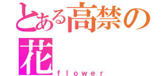 とある高禁の花（ｆｌｏｗｅｒ）