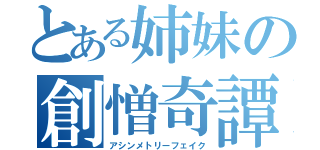 とある姉妹の創憎奇譚（アシンメトリーフェイク）