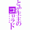 とある生主のコロラド州（ガチホモ枠）