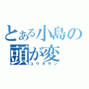 とある小島の頭が変（ユウキサン）