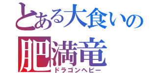 とある大食いの肥満竜（ドラゴンヘビー）