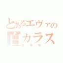 とあるエヴァの白カラス（量産型）