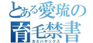 とある愛琉の育毛禁書（カミハヤックス）