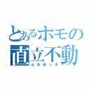 とあるホモの直立不動（ふるぼっき）