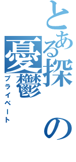 とある探の憂鬱Ⅱ（プライベート）