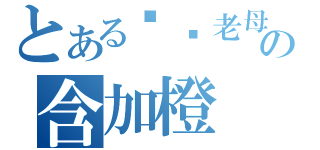 とある屌你老母の含加橙（）