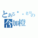 とある屌你老母の含加橙（）