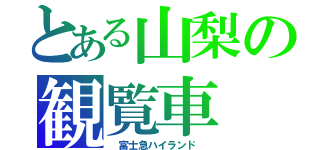 とある山梨の観覧車（　富士急ハイランド　）