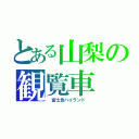 とある山梨の観覧車（　富士急ハイランド　）