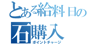 とある給料日の石購入（ポイントチャージ）